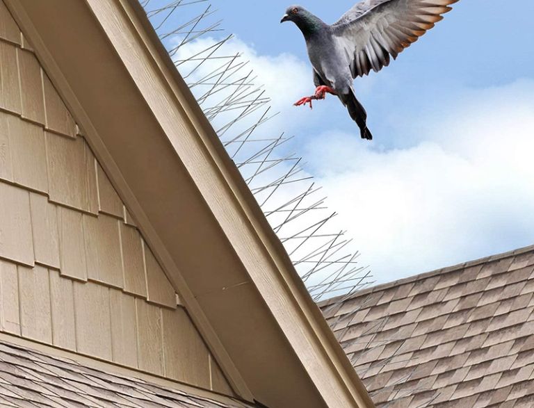 This Leader in Organic Agriculture Growth